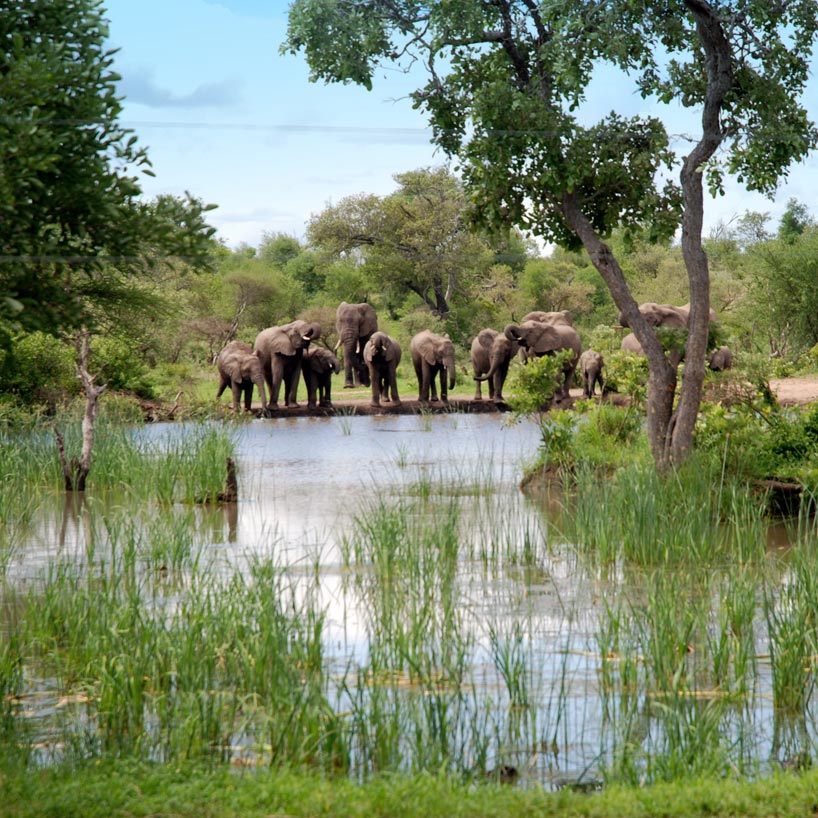 Kruger National Park