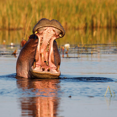 Botswana