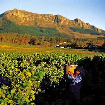 Steenberg Hotel