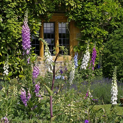 Belmond Le Manoir aux Quat Saisons