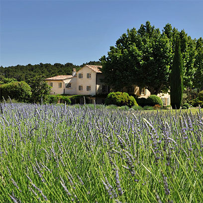 Provence Confidential